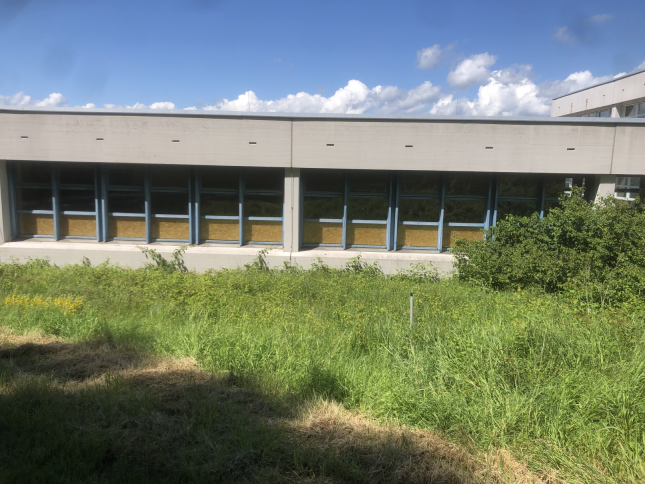 Grundschule Waldkirchen – Grundschule Waldkirchen