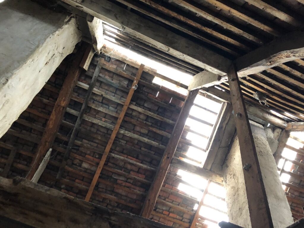 Gärtnergebäude / NAWAREUM, Straubing – Gärtnergebäude / NAWAREUM, Straubing